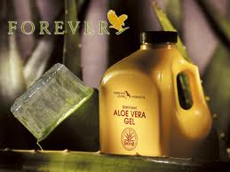  Immagina di tagliare una foglia di Aloe Vera e di berne il gel direttamente dalla pianta: otterrai lo stesso risultato bevendo la nostra Aloe Vera Gel. Il nostro gel stabilizzato è stato il primo a ricevere la certificazione dell’International Aloe Science Council. Aloe Vera Gel contiene un’abbondanza di vitamine e minerali, inclusa la rara Vitamina B12 contenuta solo in due vegetali. Questo fa dell’Aloe Vera Gel un supplemento vitale per i vegetariani. Inoltre contiene l’Acido Folico e sette aminoacidi essenziali, direttamente collegati allo sviluppo della cellula, e che non possono essere elaborati nel corpo in altri modi. Questa bevanda contiene così tanti elementi che è difficile catalogare tutti i benefici che apporta. Vale la pena sottolineare le sue proprietà immunostimolanti, disintossicanti ed antinfiammatorie. È l’alto livello di tossine e un conseguente deficit nel sistema immunitario che mina la salute ai giorni nostri. Una cosa è certa: Aloe Vera Gel ha una notevole influenza positiva sulla salute e sullo stile di vita di molti. Ciò è dovuto alla natura adaptogena del gel, corpi diversi traggono benefici diversi, a seconda del loro bisogno supplementare nutrizionale. Tra tutti i benefici i più menzionati dai consumatori di Aloe sono quelli apportati ai sistemi digestivo, respiratorio, muscolo-scheletrico e alla pelle come nei casi di psoriasi, eczema, artrite e asma. Somministrata tutti i giorni, è uno dei migliori supplementi nutrizionali disponibili, e Forever Living Products è orgogliosa di contribuire alla diffusione dei benefici dell’Aloe Vera in tutto il mondo.  