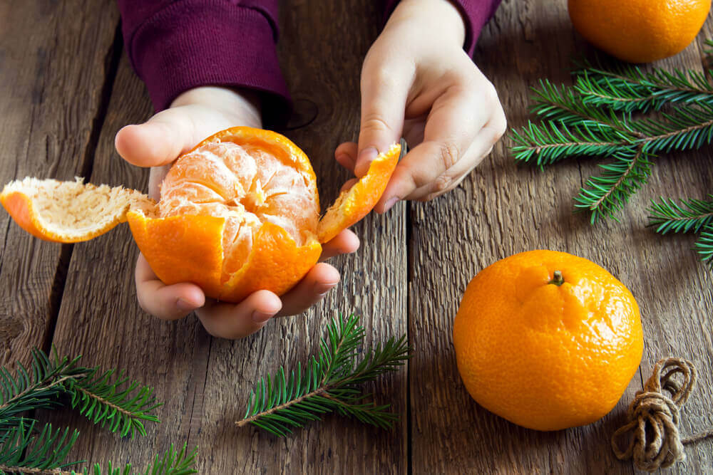 cattiva alimentazione nelle purine cattiva alimentazione nelle purine